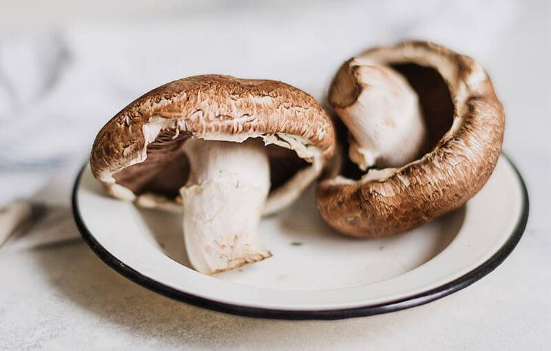 Two mushrooms on plate